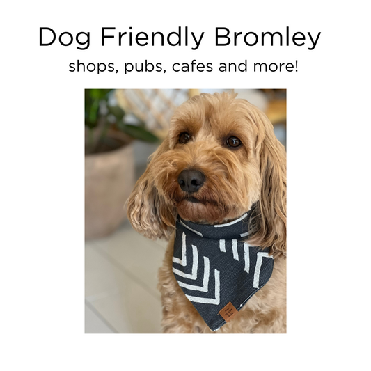 Dog friendly Bromley - shops, pubs, cafes and more!