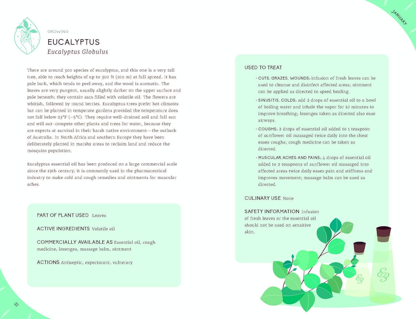 The Leaping Hare Nature Almanac Book (LAST ONE)