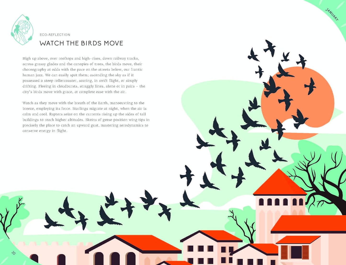 The Leaping Hare Nature Almanac Book (LAST ONE)