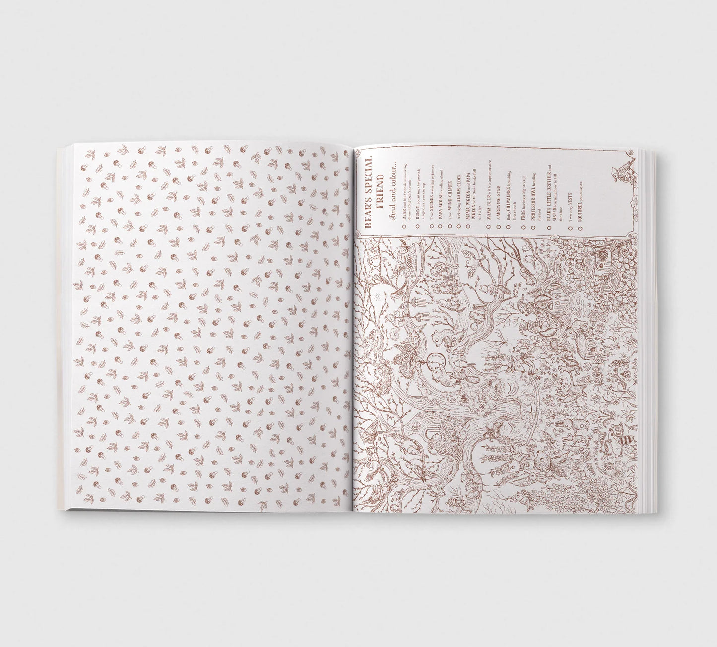 Brown Bear Wood: Colouring & Spotting Book