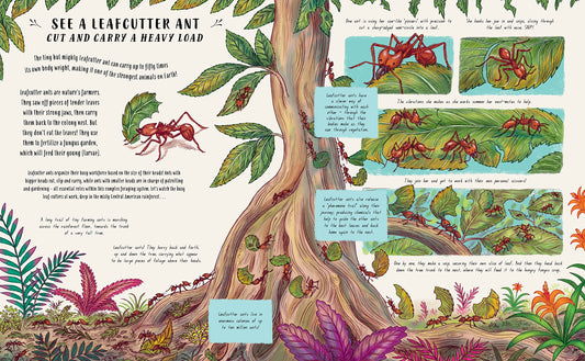 Slow Down And Be Here Now Book (LAST ONE)