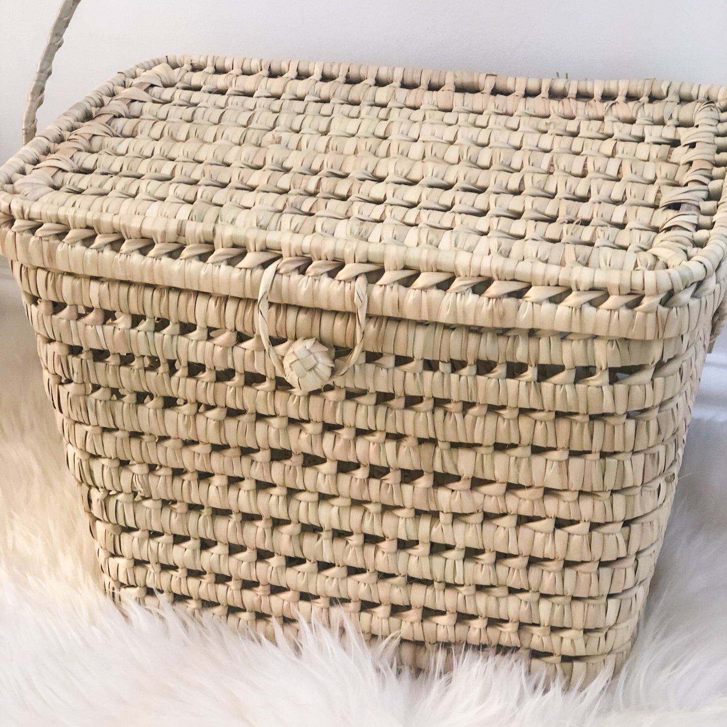 Maysa Lidded Storage Basket Bag