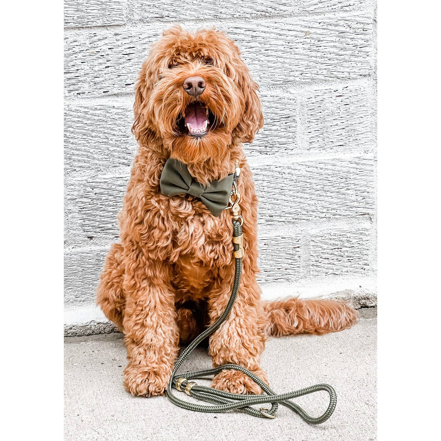 Olive Marine Rope Dog Lead - The Foggy Dog