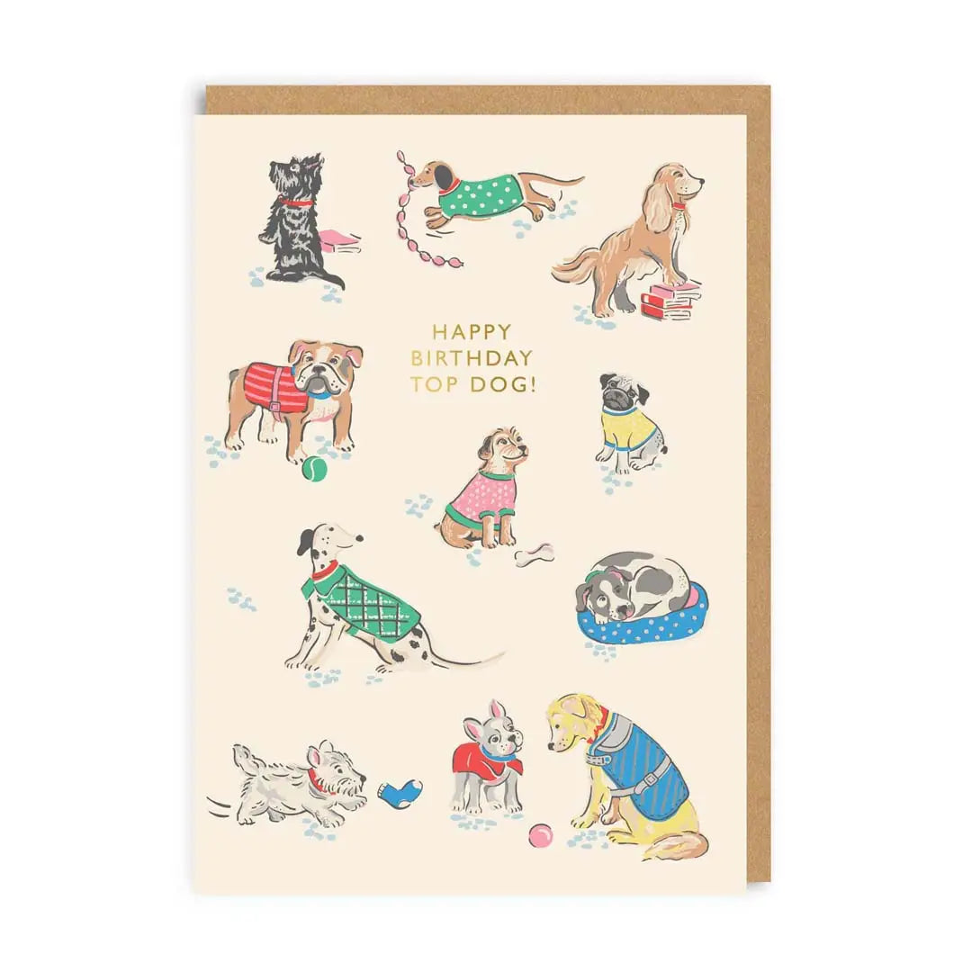 Happy Birthday Top Dog Cath Kidston Greetings Card
