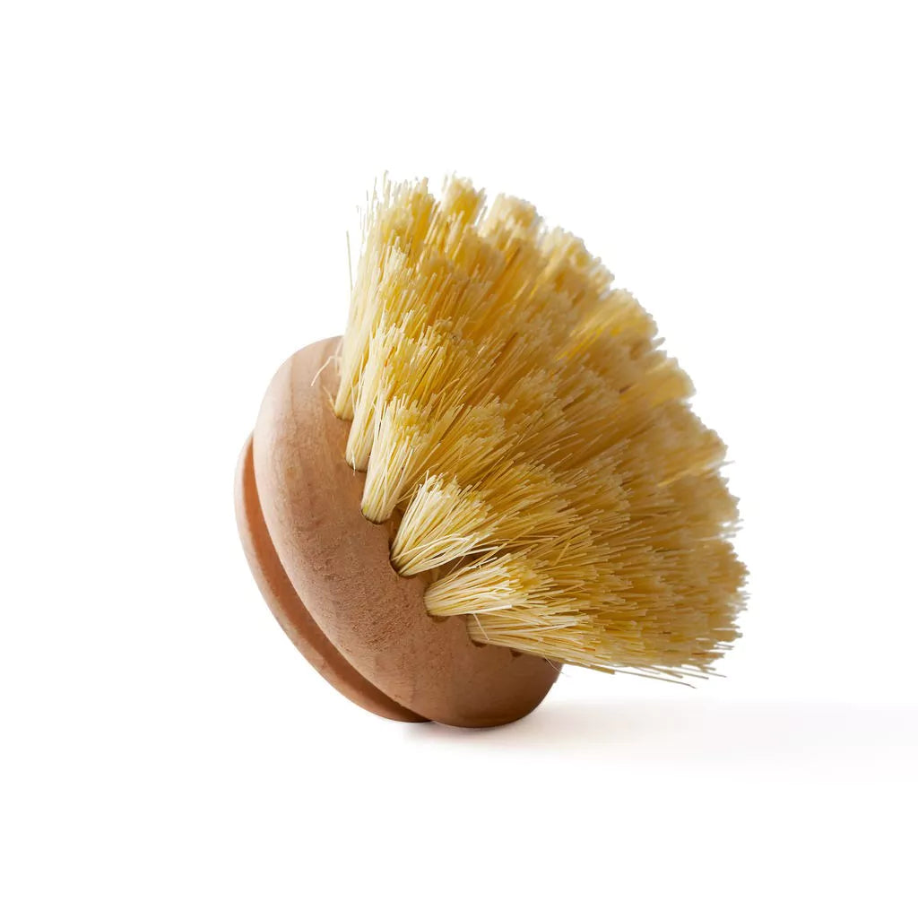 Wild & Stone Dish Brush - Replaceable Head
