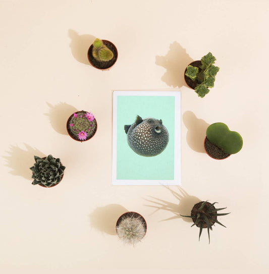 Sea Otters Greetings Card By Hidden Planet