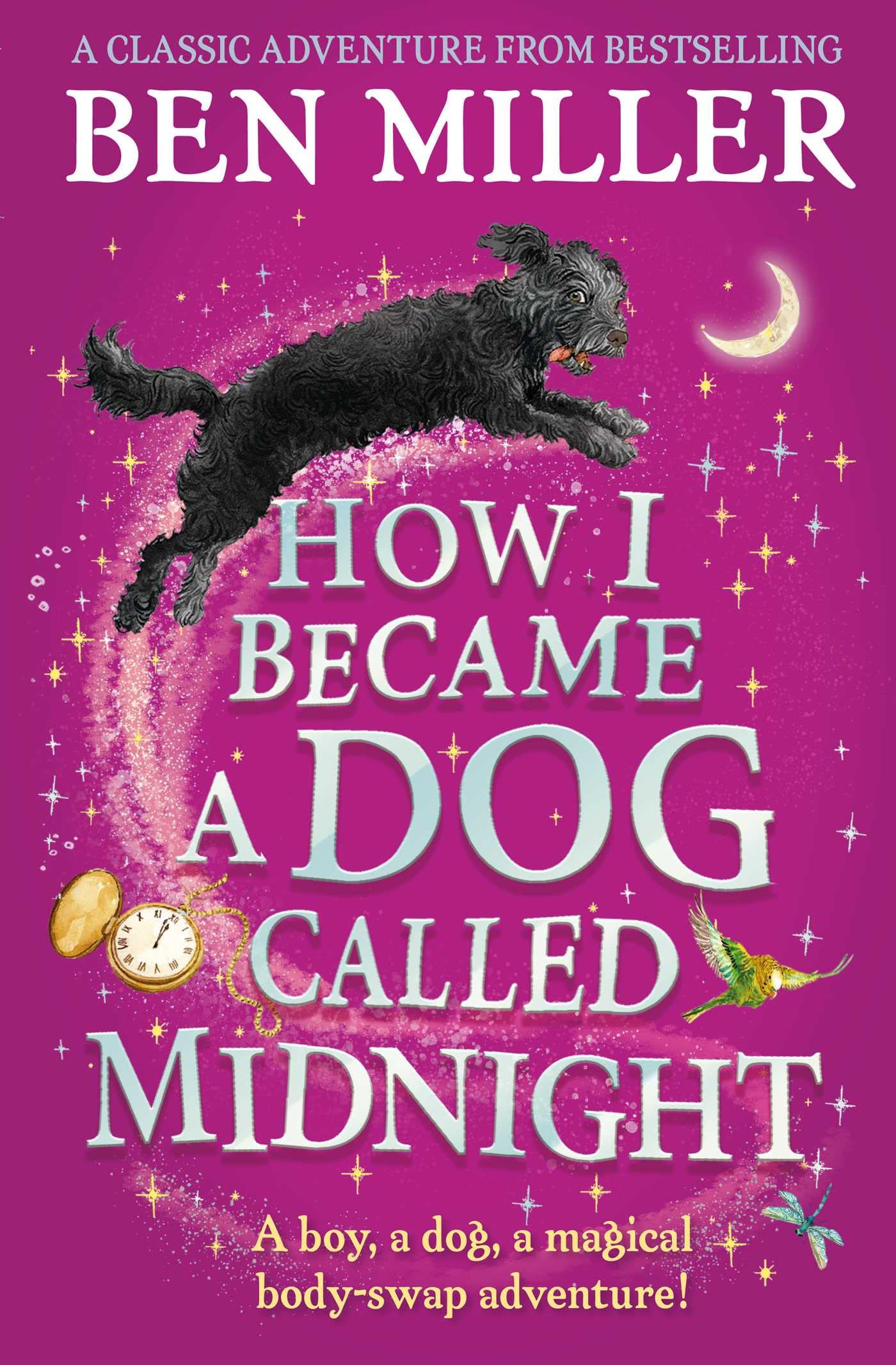How I Became A Dog Called Midnight - Book