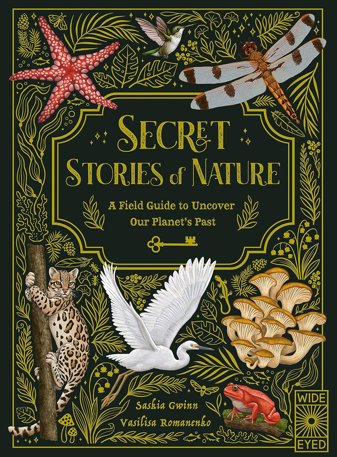 Secret Stories of Nature Book