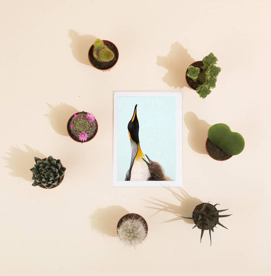 Atlantic Puffin Greetings Card By Hidden Planet