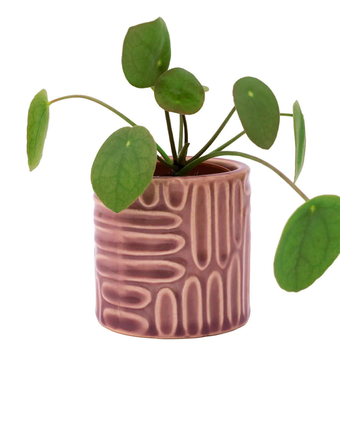 Small Pink Indented Plant Pot
