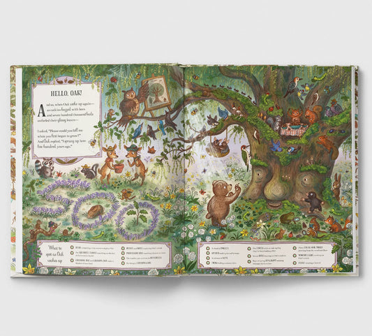 Brown Bear Wood: Grand Old Oak & The Birthday Ball Book