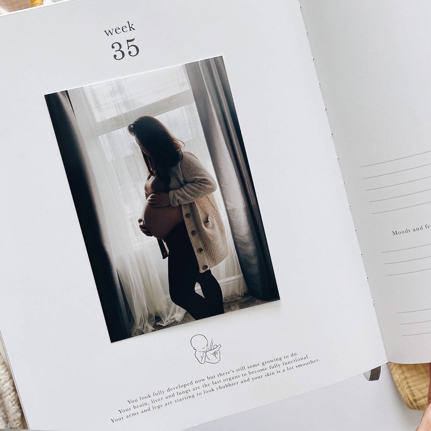 Pregnancy Journal (Pearl) By Blush & Gold
