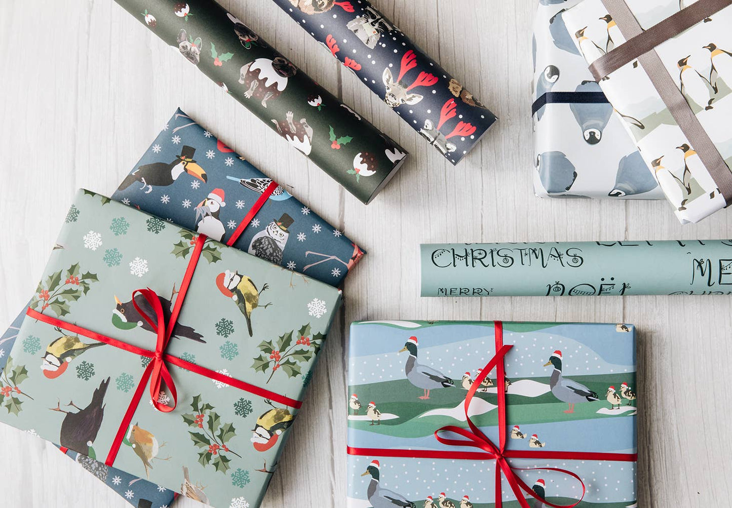 RSPB Charity Christmas Gift Wrap Dawn Chorus By Lorna Syson