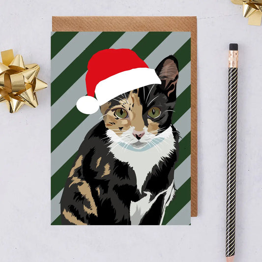 Tabby Cat With Santa Hat - Christmas Card By Lorna Syson