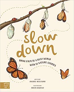 Slow Down Book