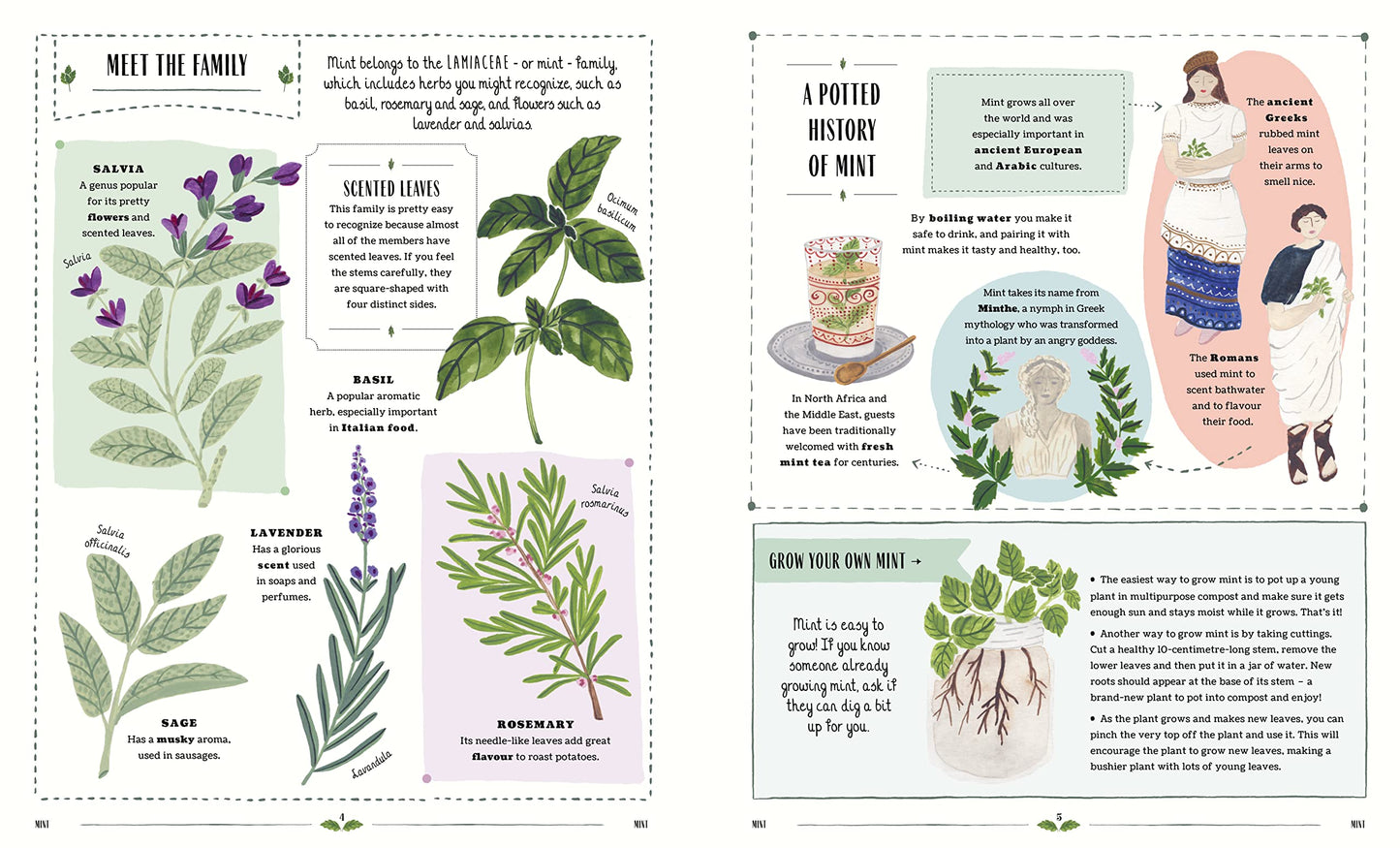 Grow: A first guide to plants and how to grow them