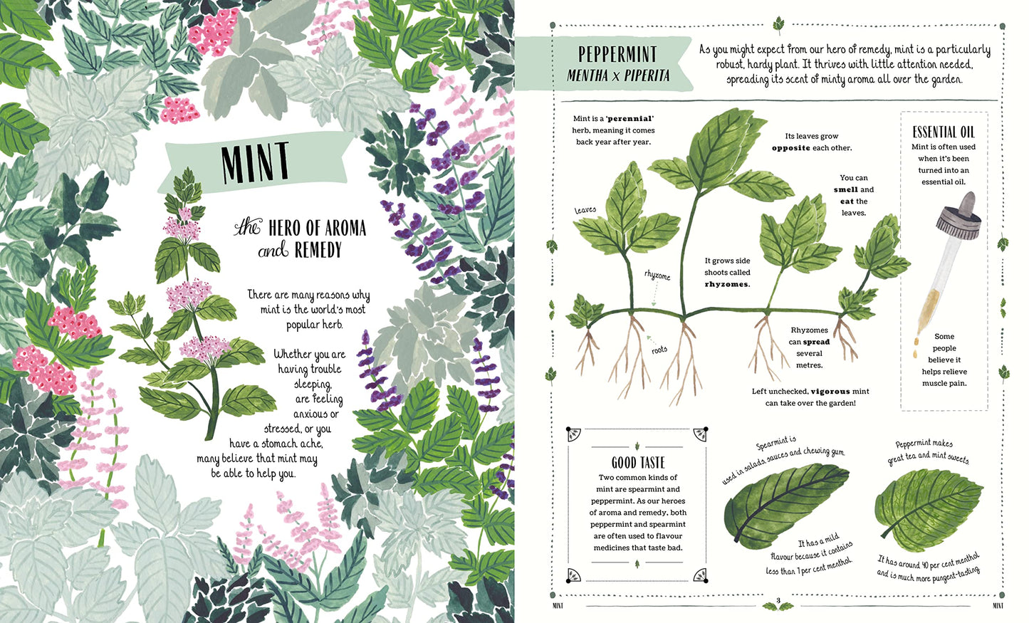 Grow: A first guide to plants and how to grow them