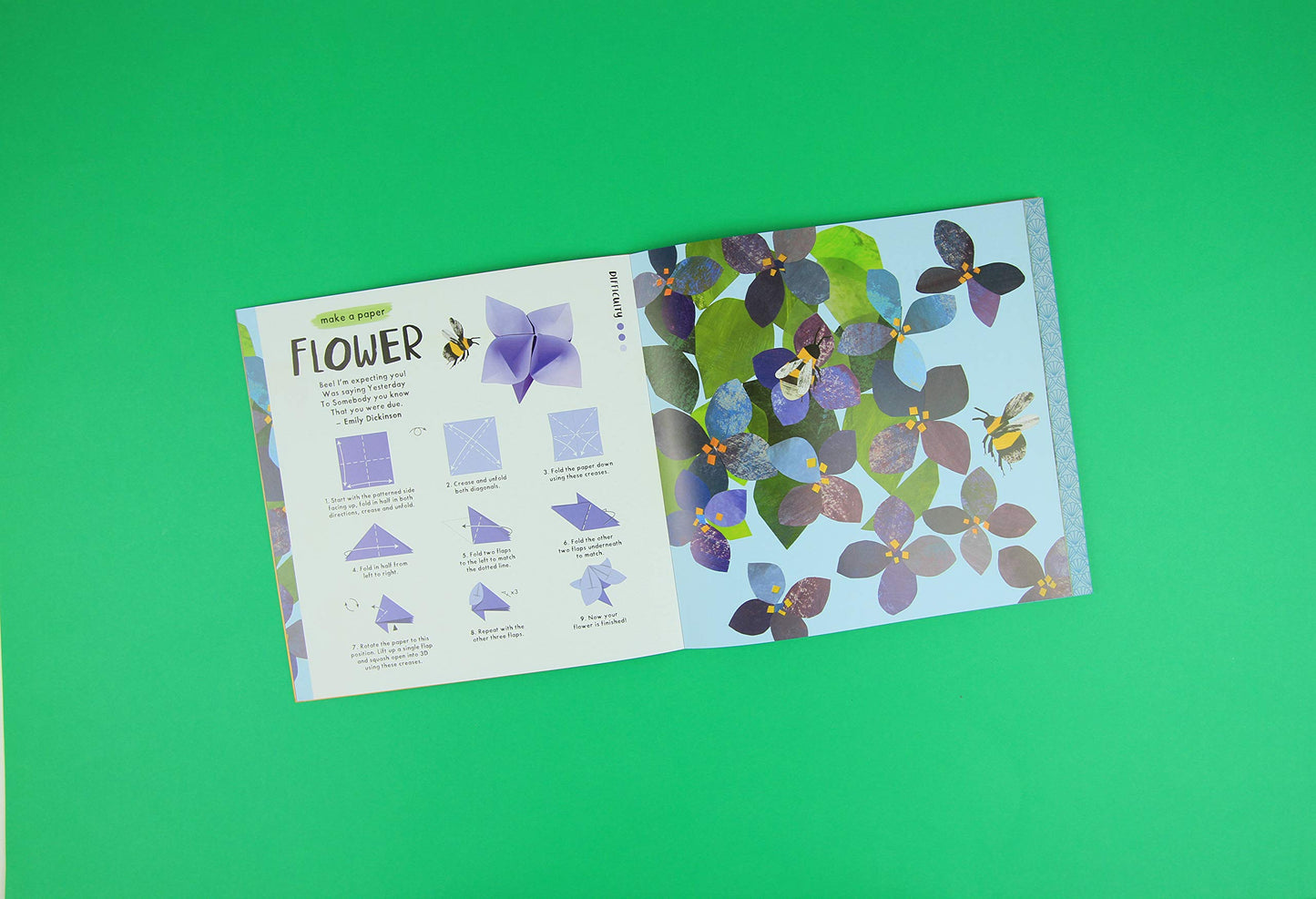 National Trust: Nature Origami: With 50 Sheets of Origami Paper!