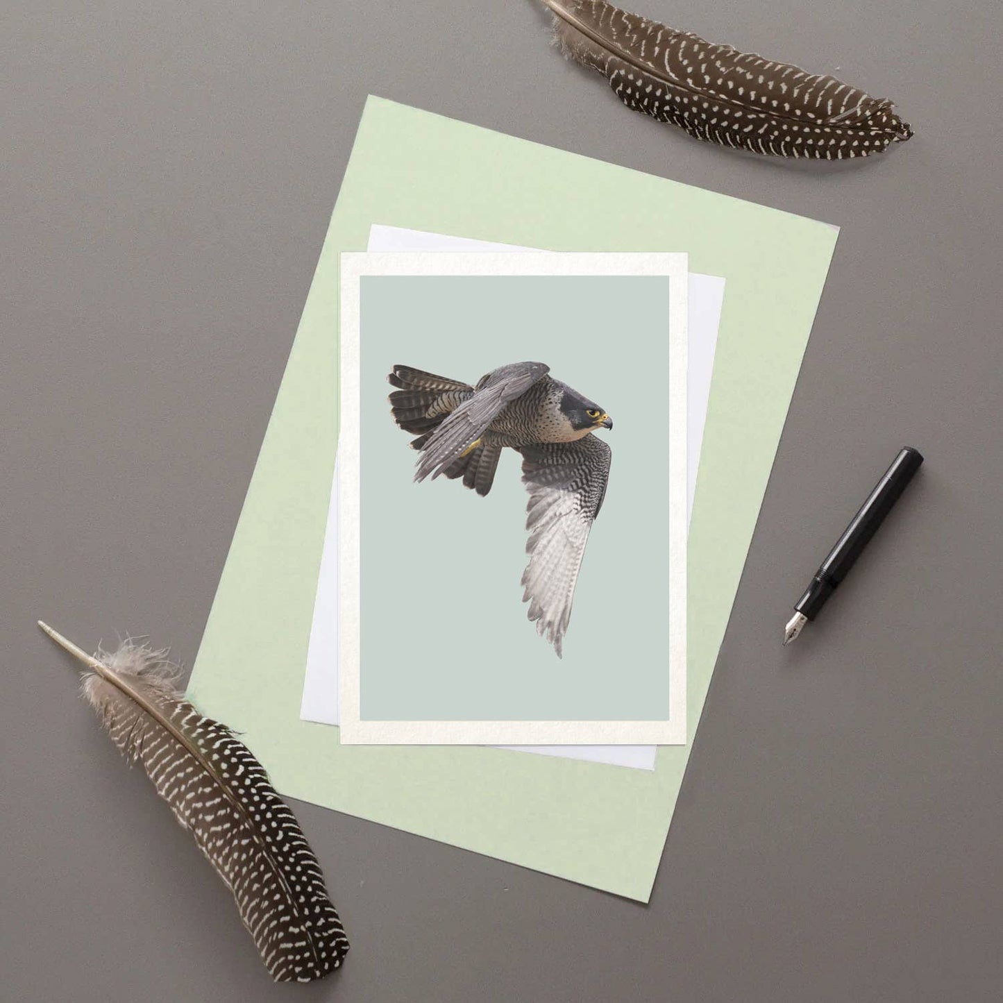Peregrine Falcon Greetings Card By Hidden Planet