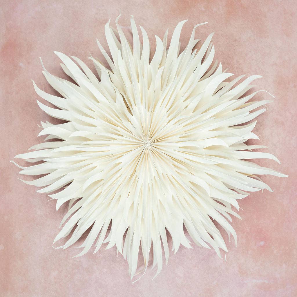 Giant Peony White Paper Wall Decoration - 70cm