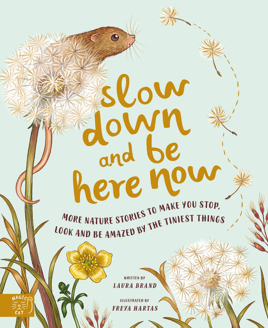 Slow Down And Be Here Now Book