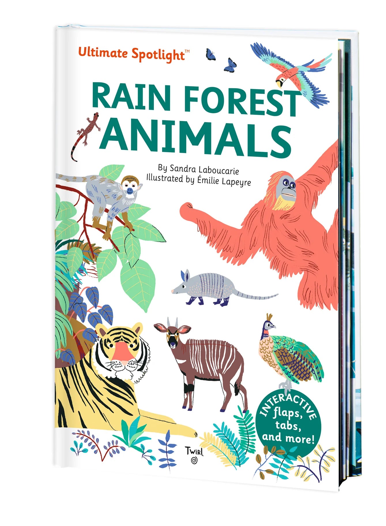 Ultimate Spotlight Rainforest Animals Book