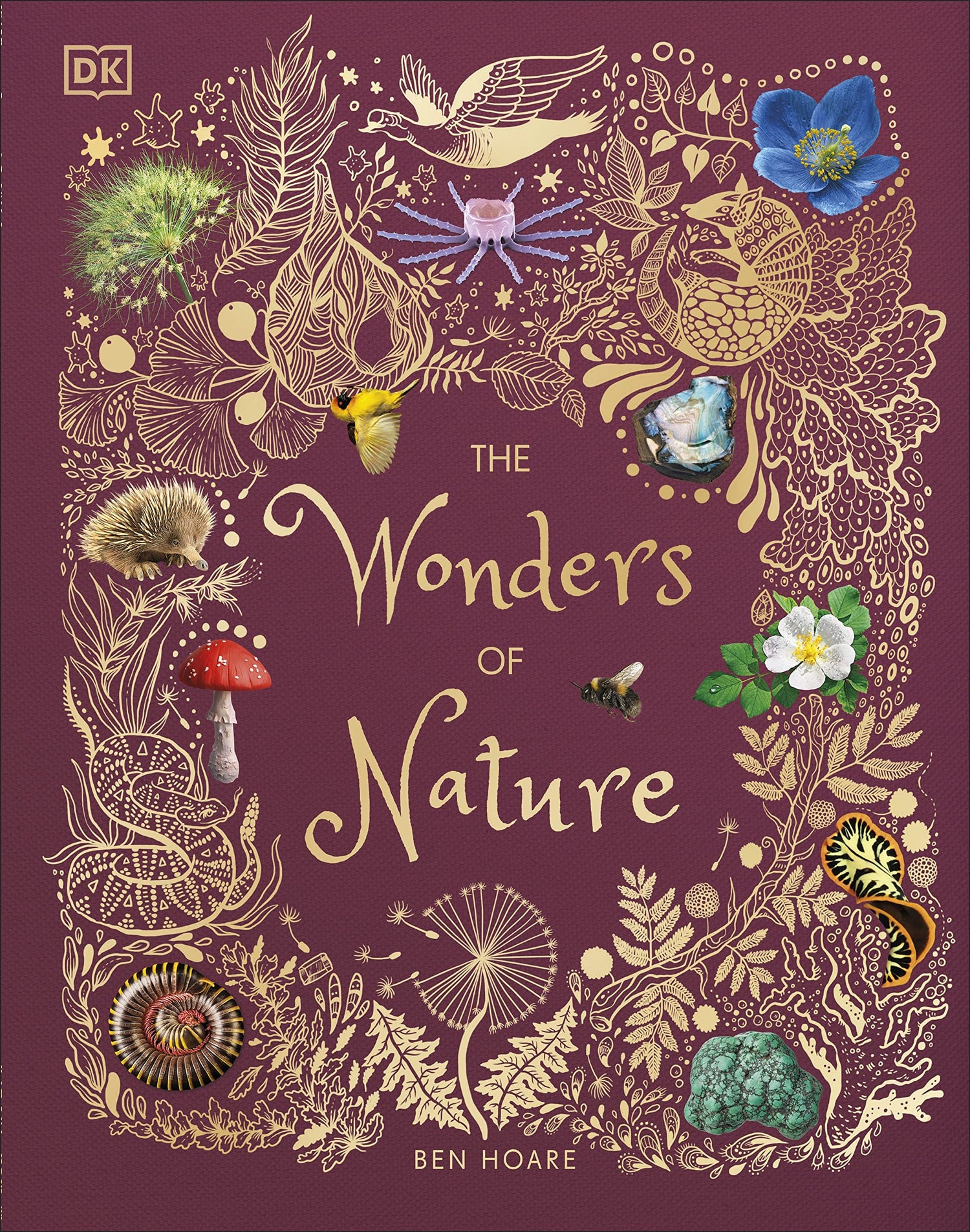 The Wonders of Nature Book