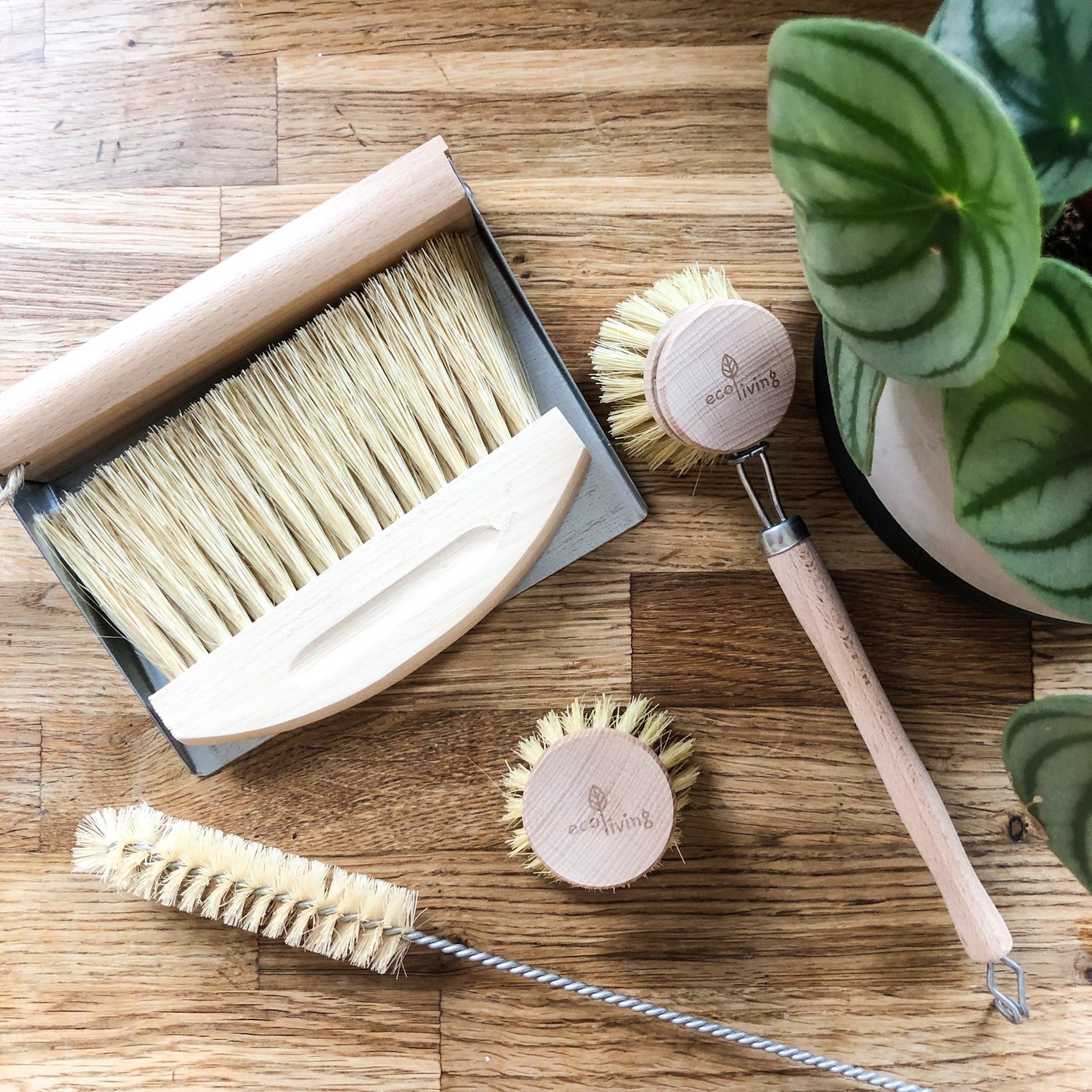 Eco Living Dish Brush - Replaceable Head