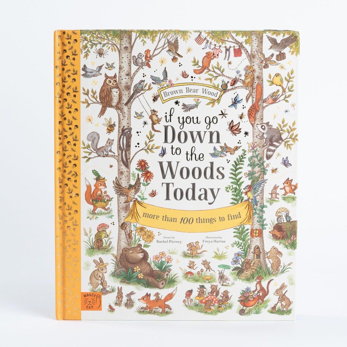 If You Go Down To The Woods Today Book