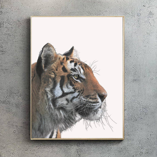 Bengal Tiger - A4 Print (Portrait) by Hidden Planet