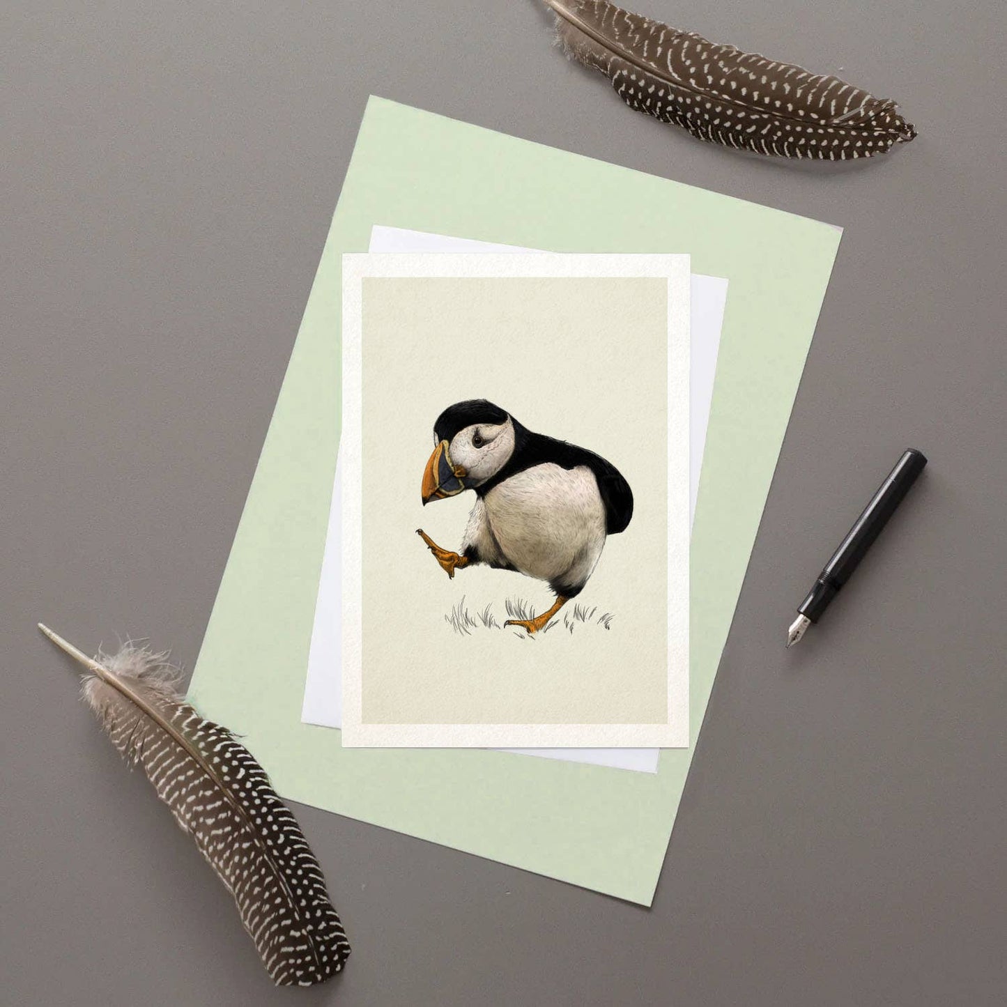 Atlantic Puffin Greetings Card By Hidden Planet