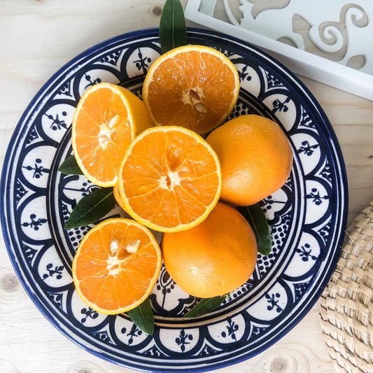 Moroccan "ZWAK" Large Plate in Blue & White