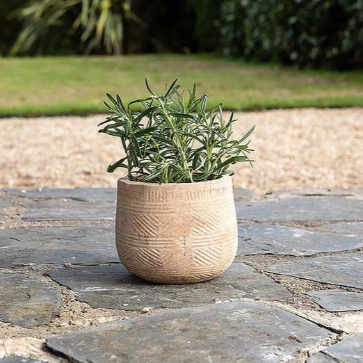 Zadie Etched Ceramic Small Neutral Planter By Nkuku